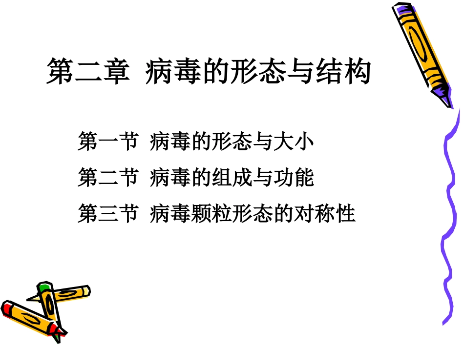 病毒学第二章 病毒的形态与结构_第1页
