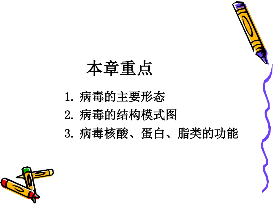 病毒学第二章 病毒的形态与结构_第2页