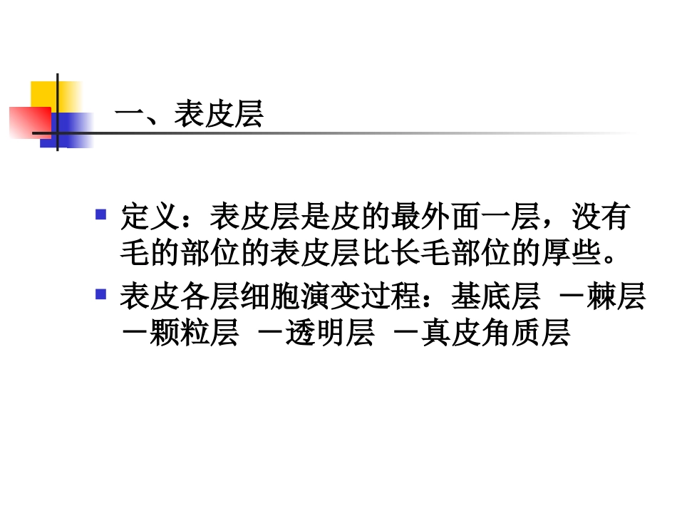 第二章生皮组织学_第3页