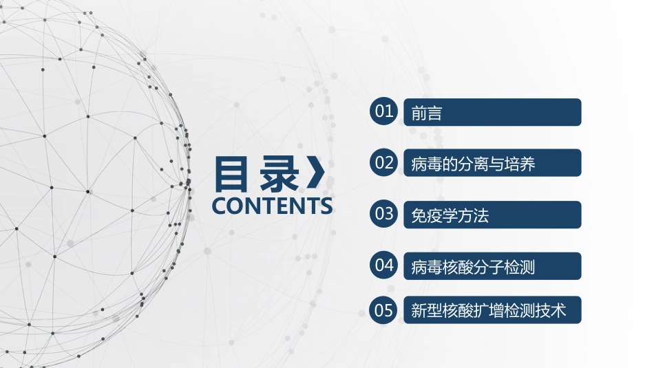 病毒检测技术及应用_第2页