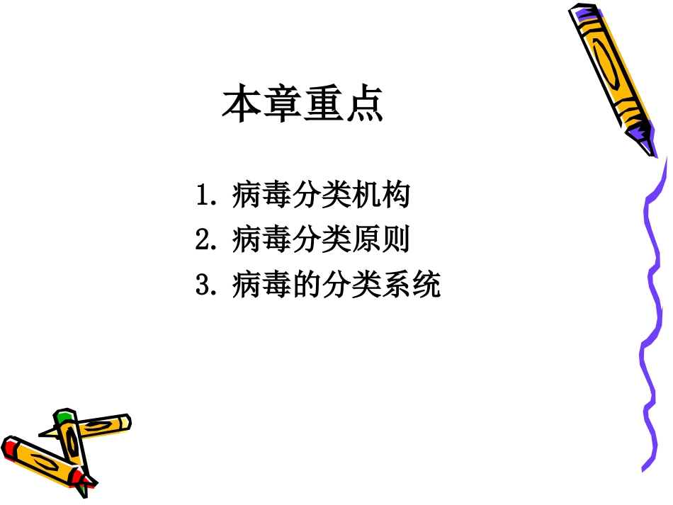 病毒学第三章 病毒的分类与命名_第2页