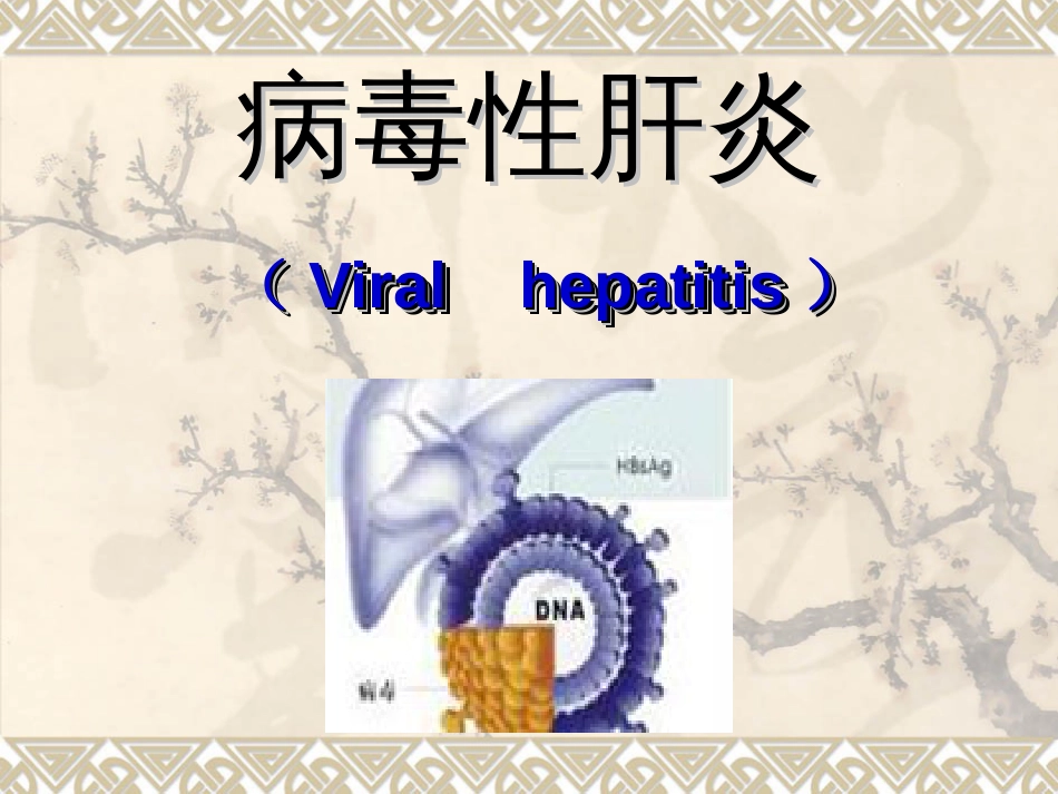 病毒性肝炎课件_第1页