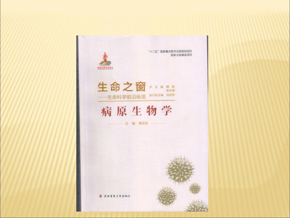 病毒与传染病PPT课件_第2页