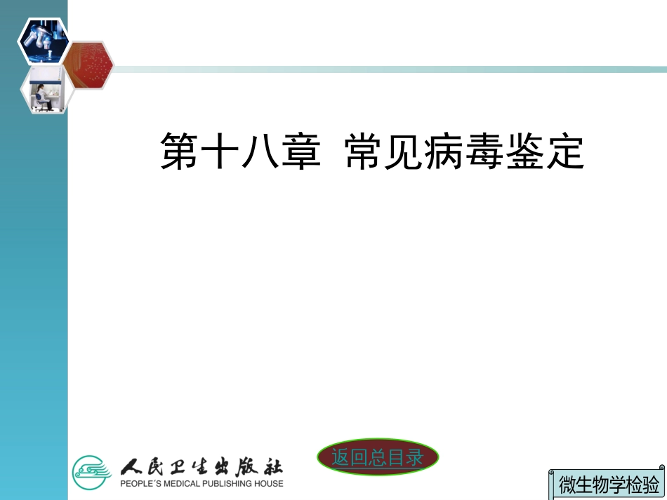 第十八章常见病毒鉴定(共88页)_第3页