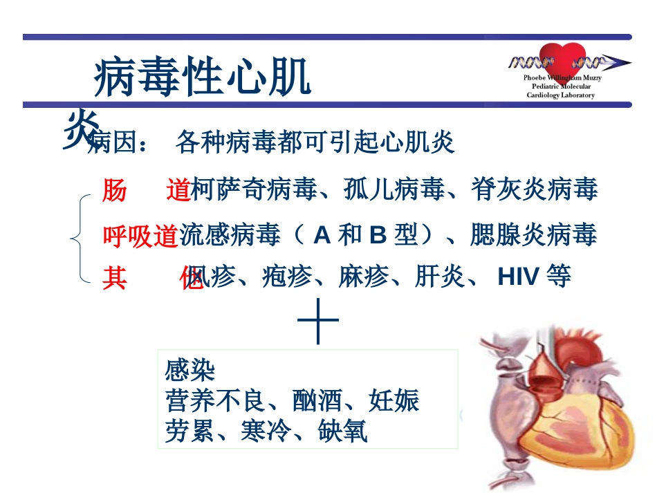 病毒性心肌炎新._第3页