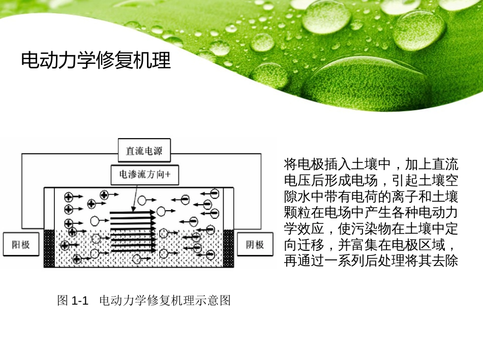 电动力学修复污染土壤的改进技术(共24页)_第3页