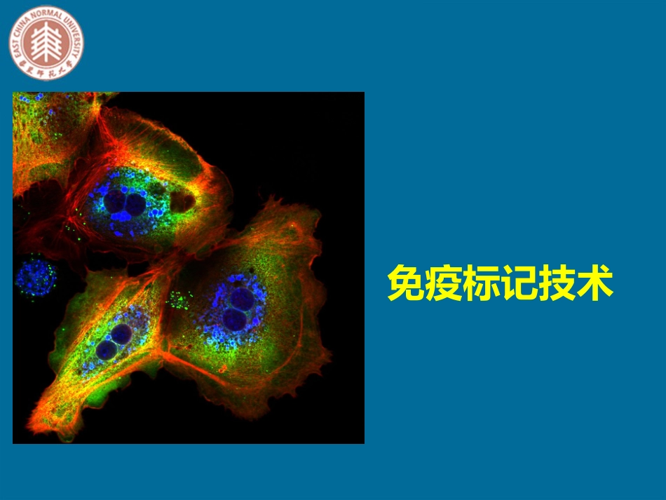 第六章免疫标记技术_第1页