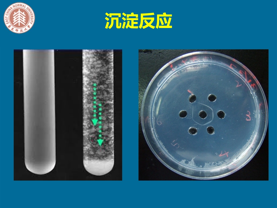 第六章免疫标记技术_第3页