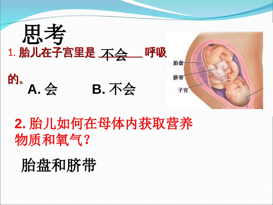 第一节呼吸道对空气的处理公开课_第3页