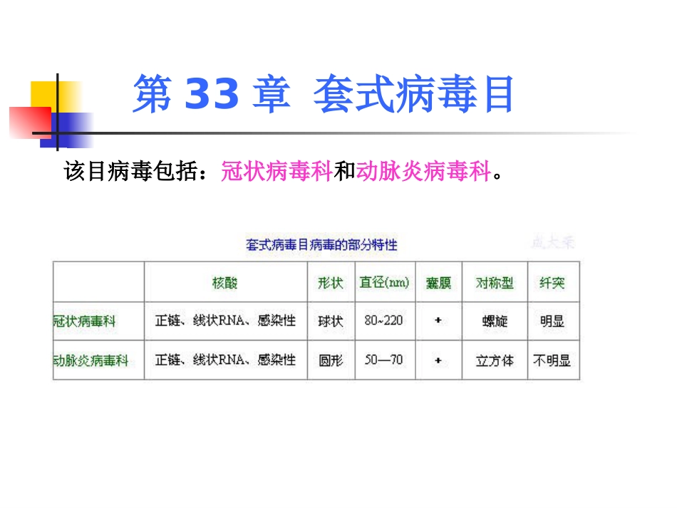 第33章套式病毒目(共108页)_第1页