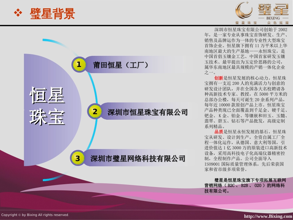 璧星珠宝企业介绍_第3页