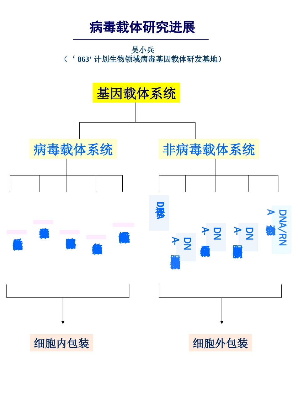 病毒载体吴小兵_第1页