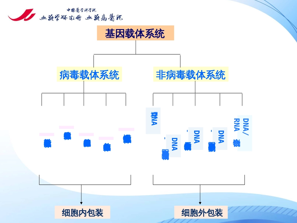 病毒包装与感染_第2页