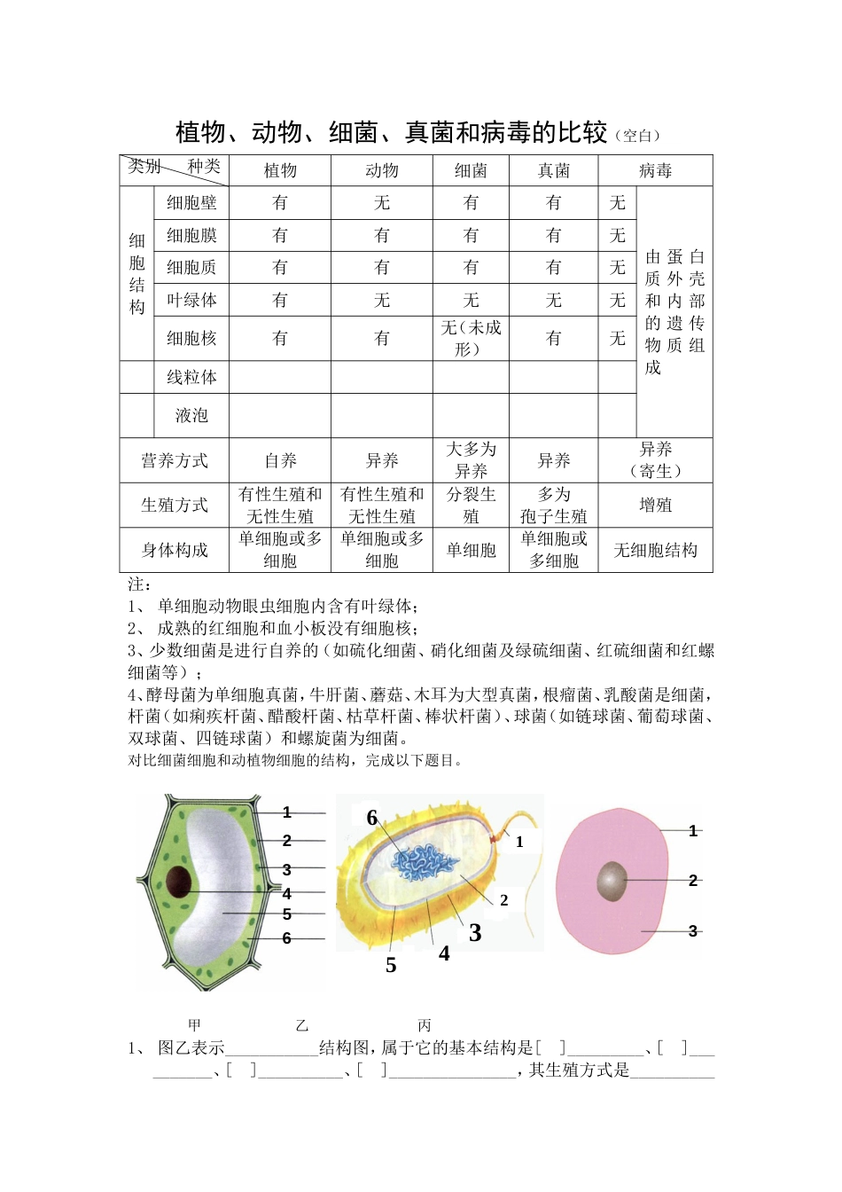 植物动物细菌病毒对比表_第1页