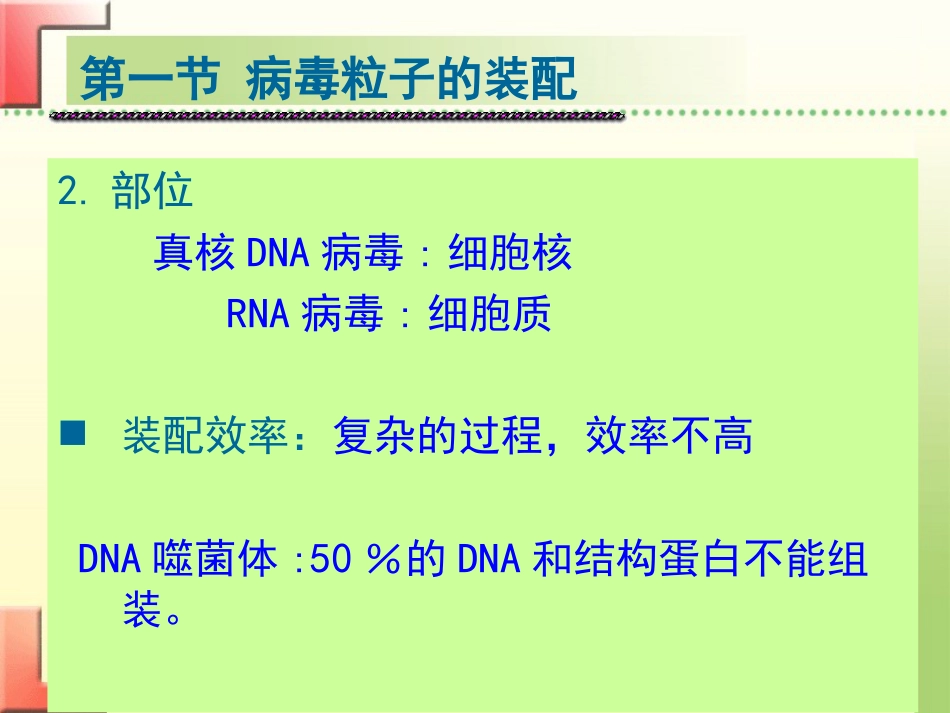 病毒学-病毒粒子的装配和释放_第3页