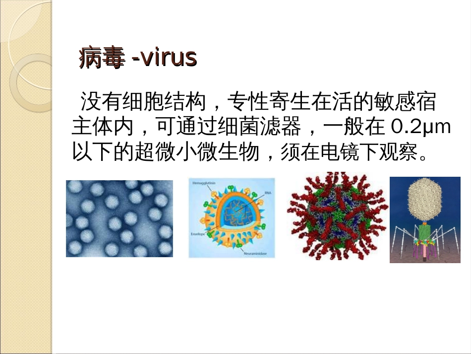 病毒的形态结构与分类2016版_第3页