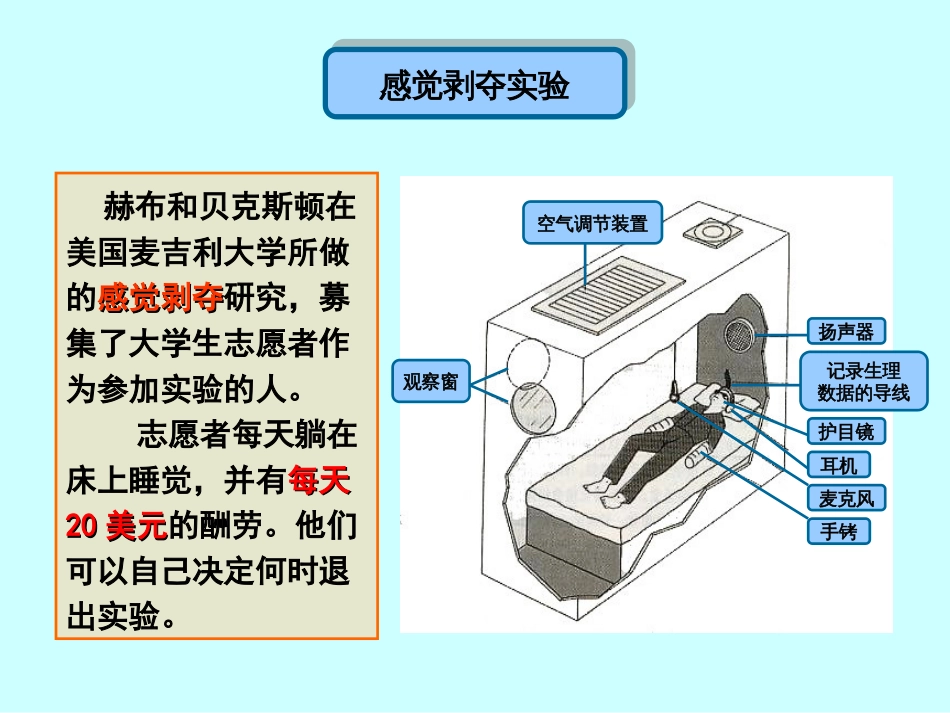 第四讲感知觉(共80页)_第2页