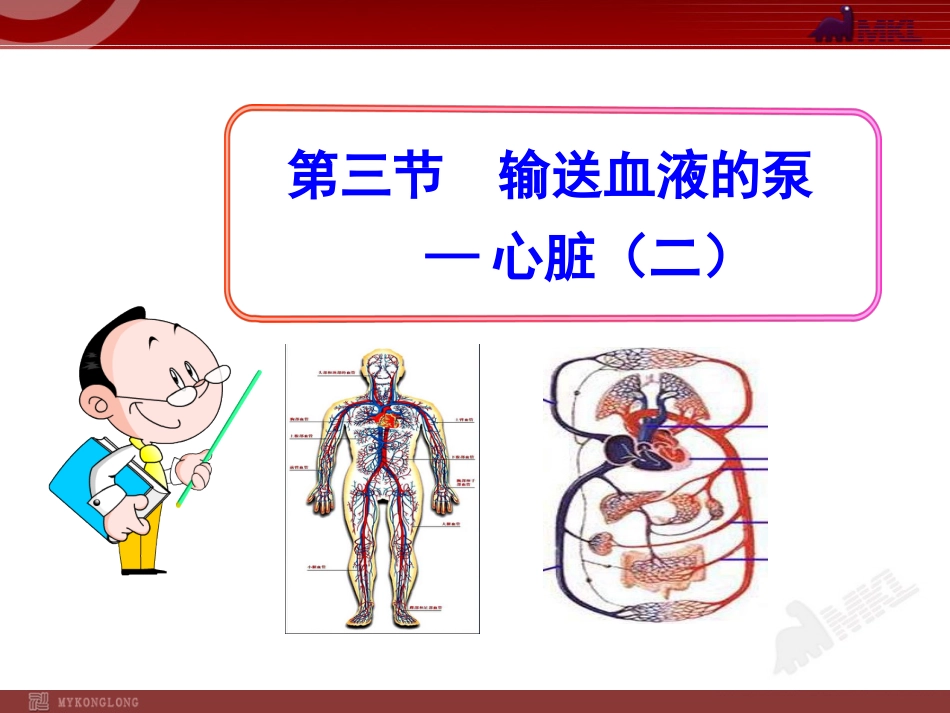 第三节输送血液的泵—心脏二七年级下册(共25页)_第1页