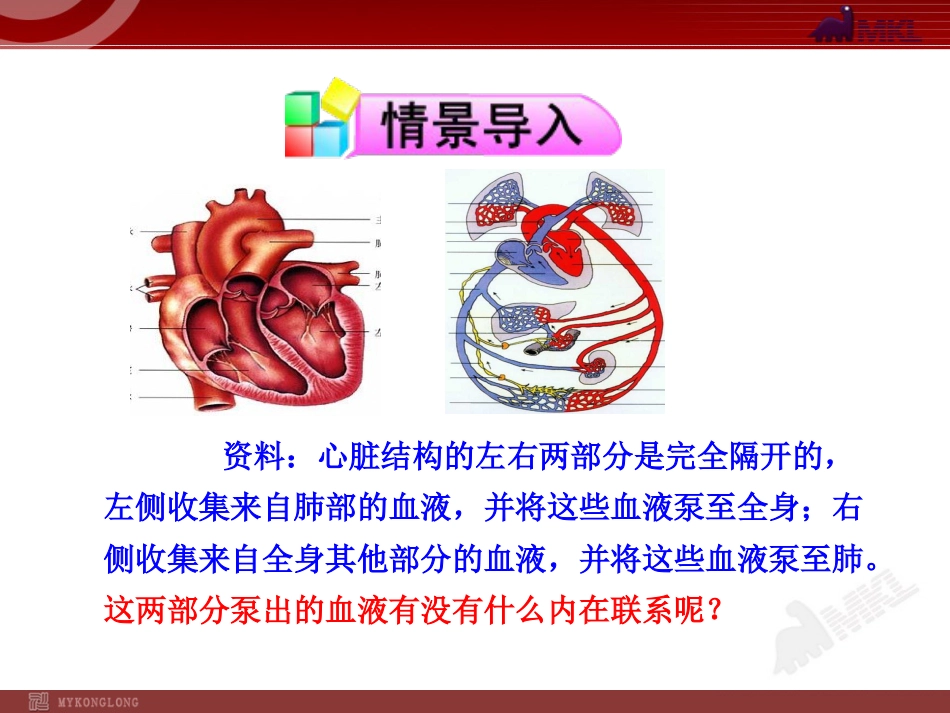 第三节输送血液的泵—心脏二七年级下册(共25页)_第2页