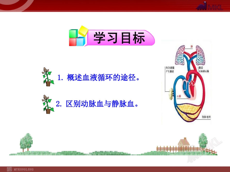 第三节输送血液的泵—心脏二七年级下册(共25页)_第3页