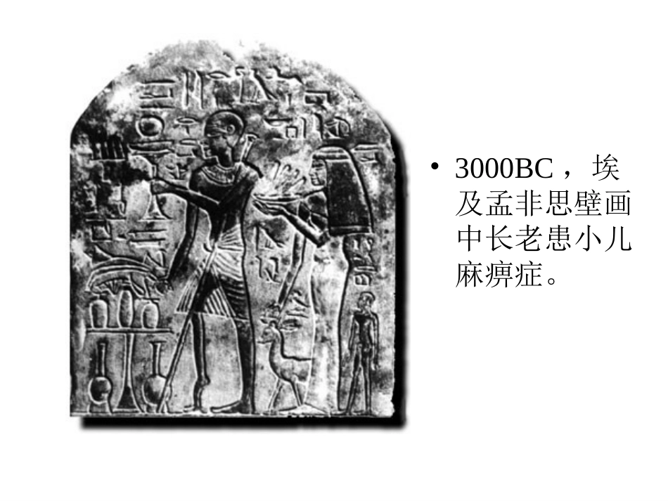 病毒的基本特征_第2页