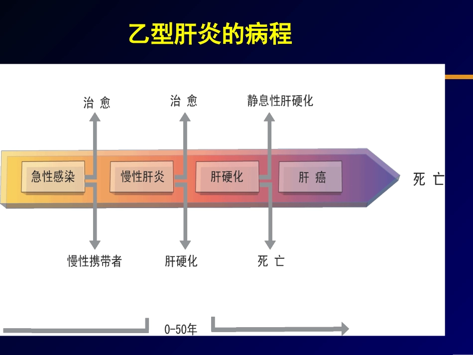 病毒性肝炎的抗病毒治疗_第3页