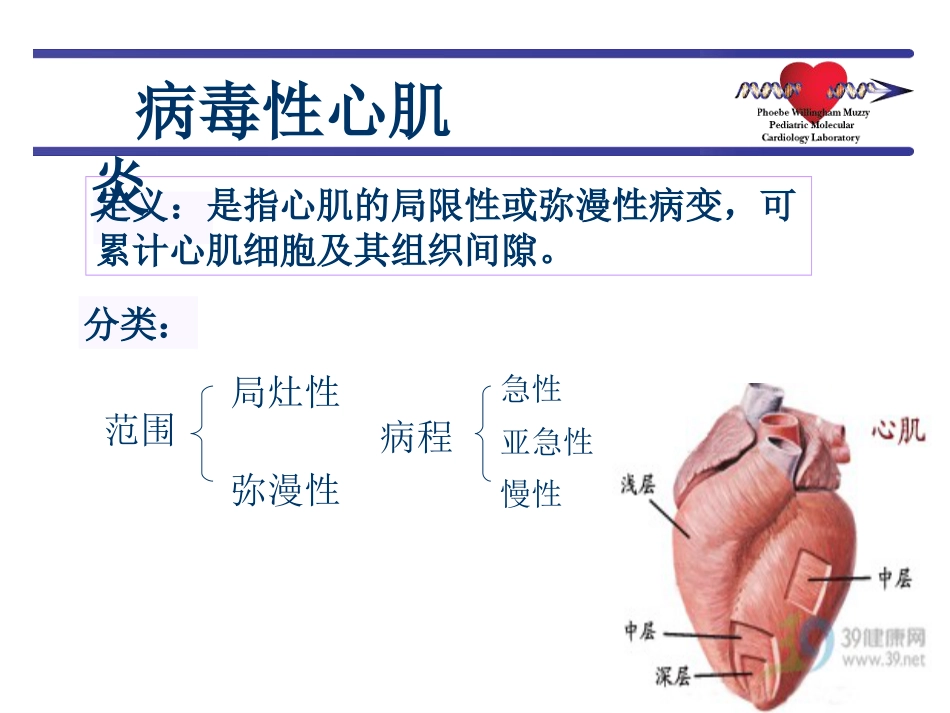 病毒性心肌炎新[1].ppt_第3页