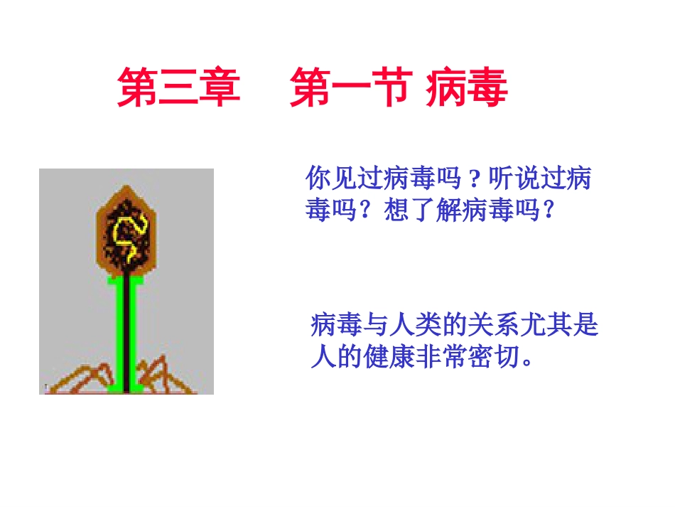病毒PPT课件2_第2页