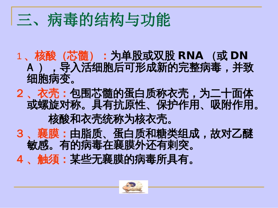 病毒学基础知识_第3页