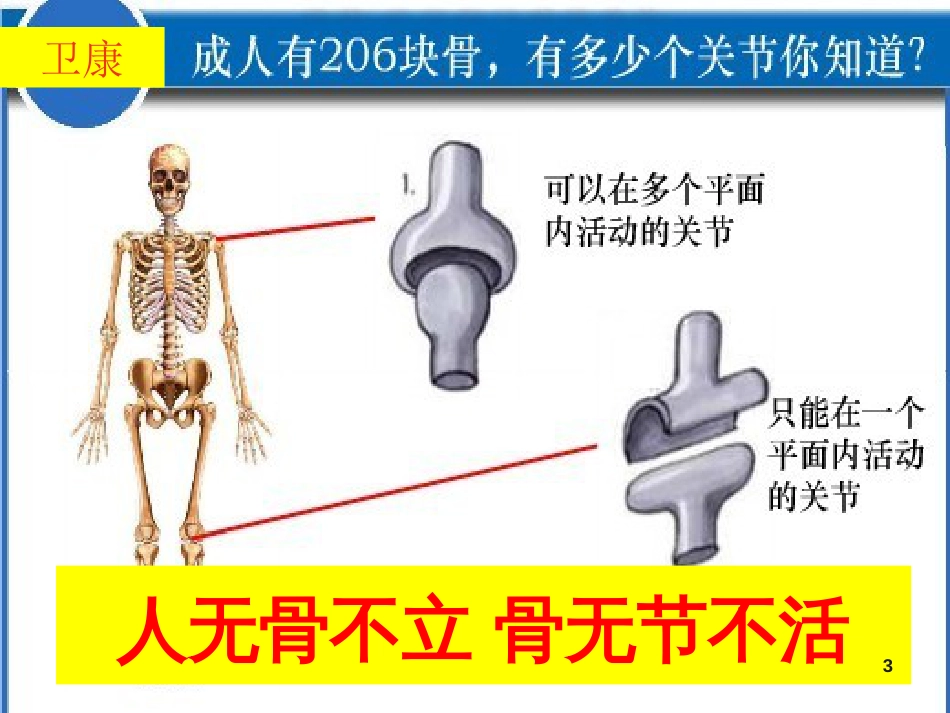 氨糖治骨关节疾病_第3页