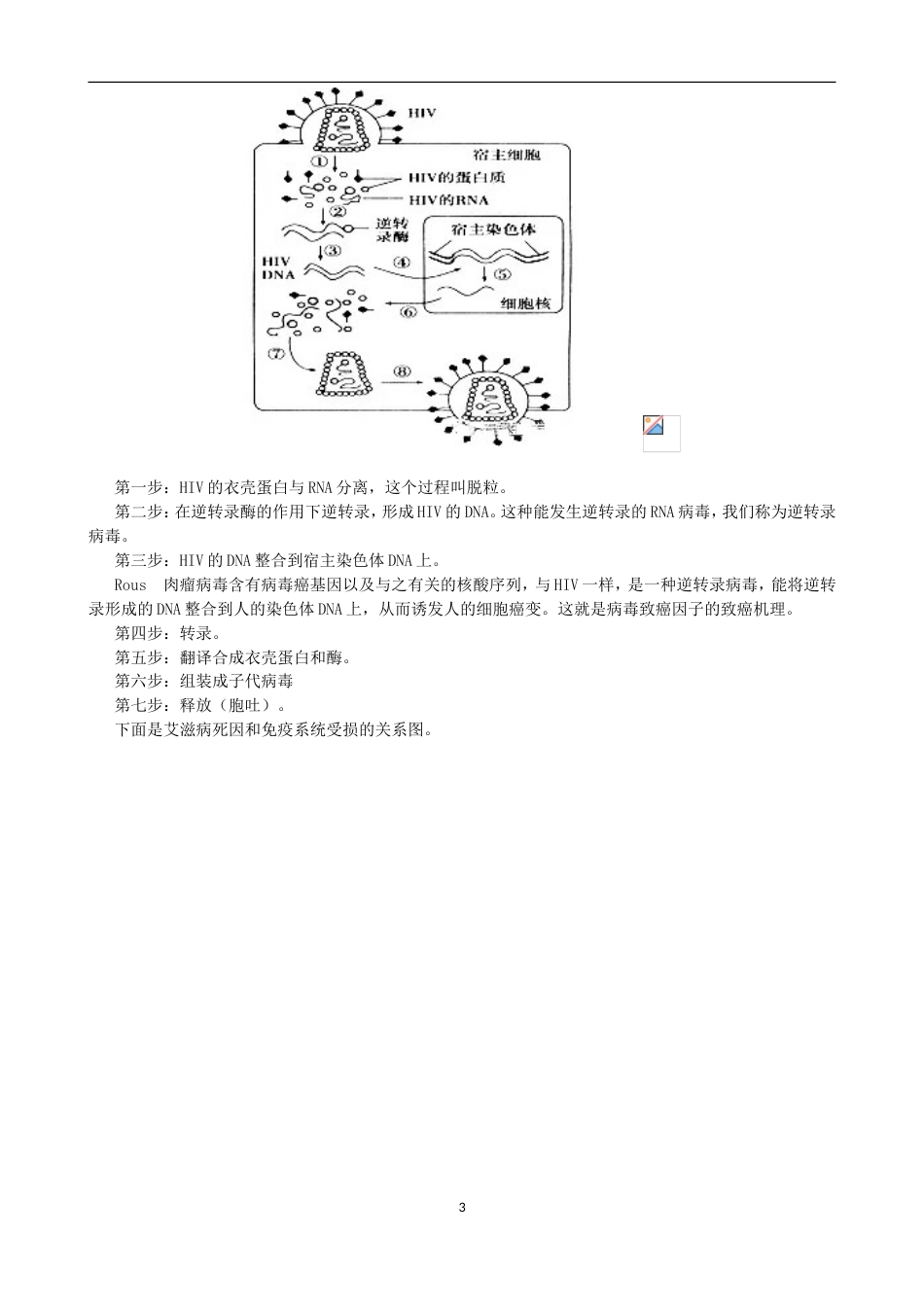 第4讲 病毒的繁殖_第3页