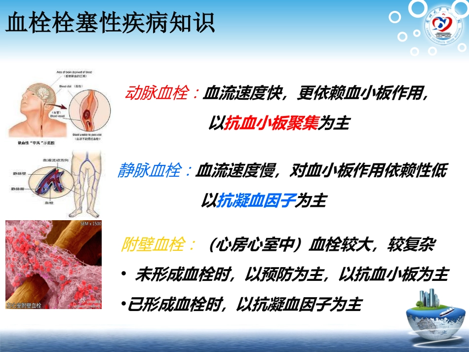 置管溶栓的护理_第3页