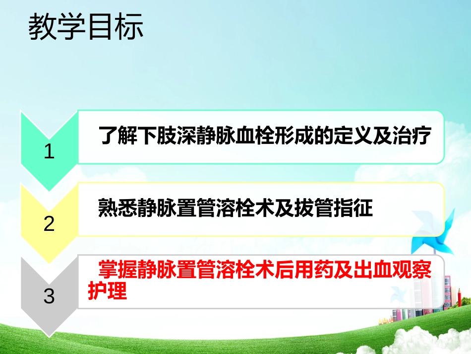 下肢深静脉血栓形成静脉置管溶栓术后-用药及出血观察护理-PPT_第2页