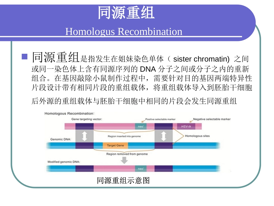 creloxp基因敲除系统_第3页