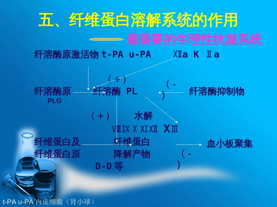 出凝血课件完整版_第3页