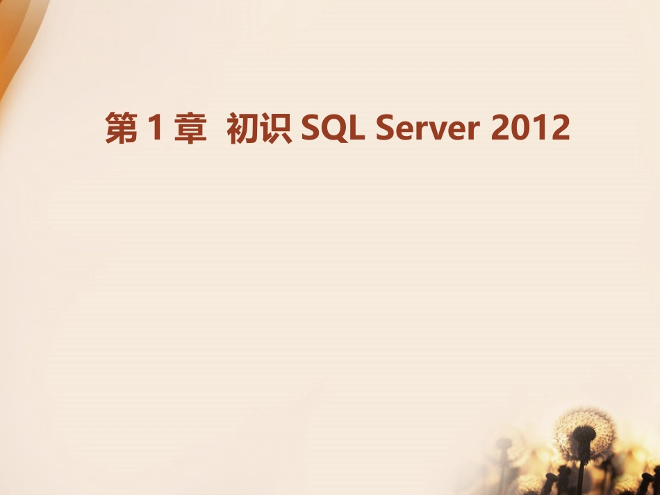 SQLServer2012从零开始学117章全套_第1页