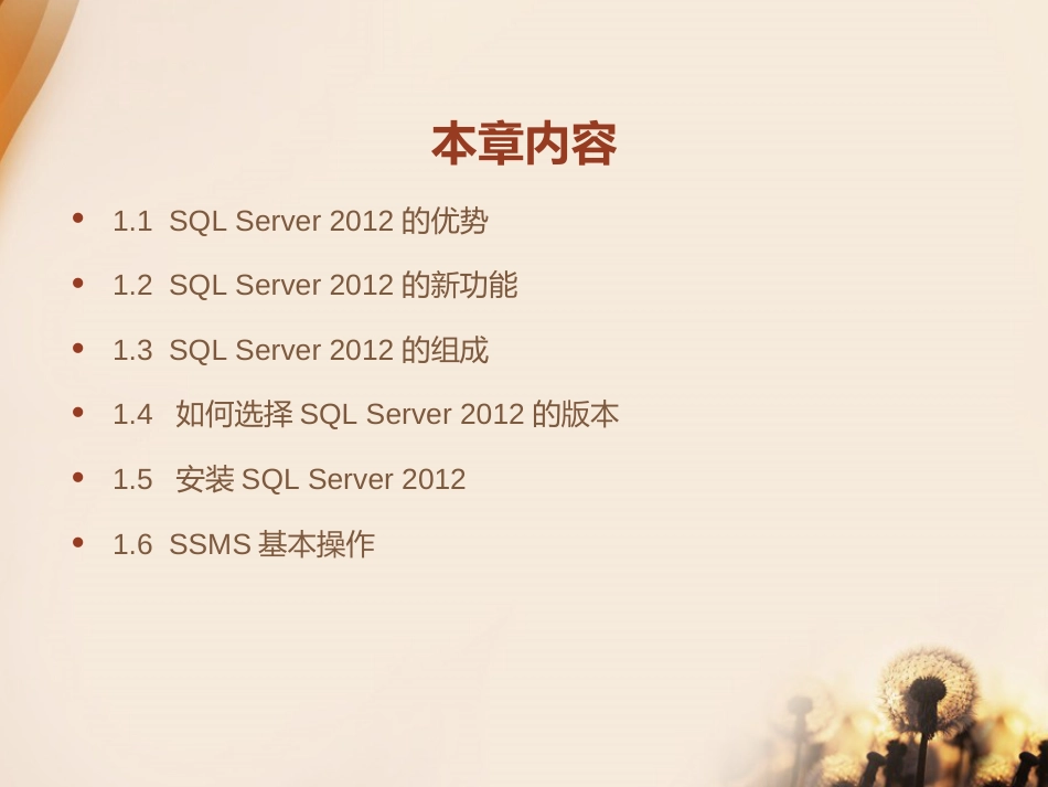 SQLServer2012从零开始学117章全套_第2页