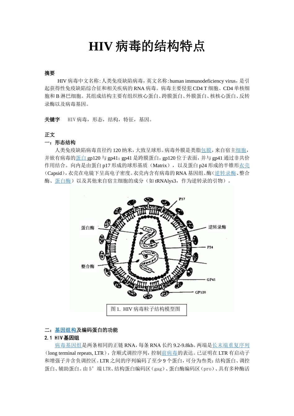 HIV病毒的结构特征_第1页