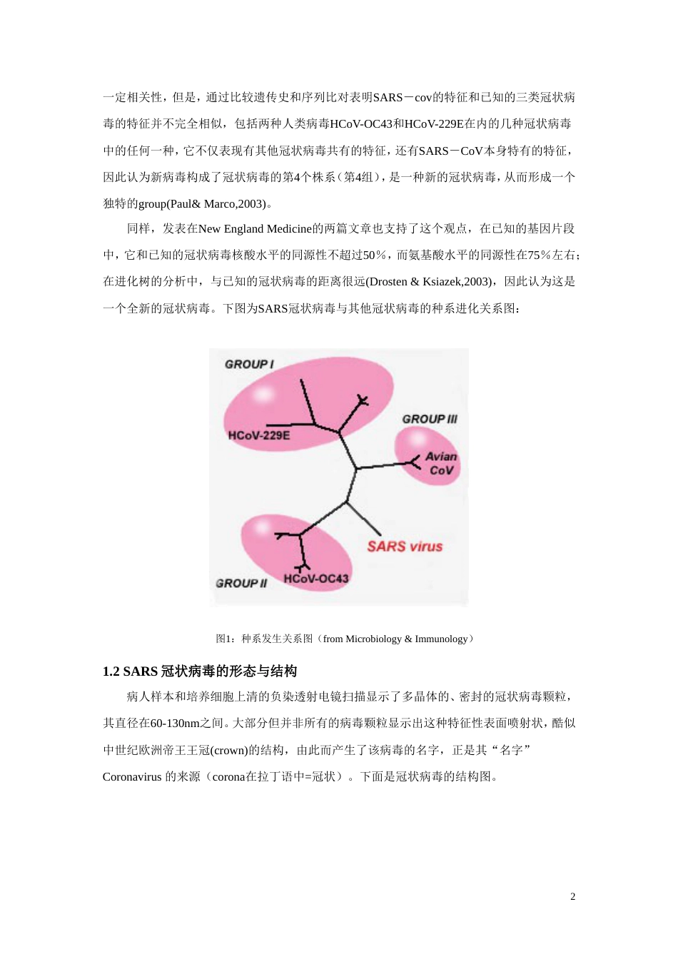 SARS病毒研究概述_第2页