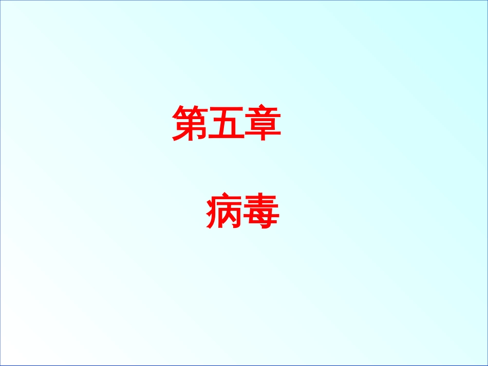 八年级生物 病毒_第3页