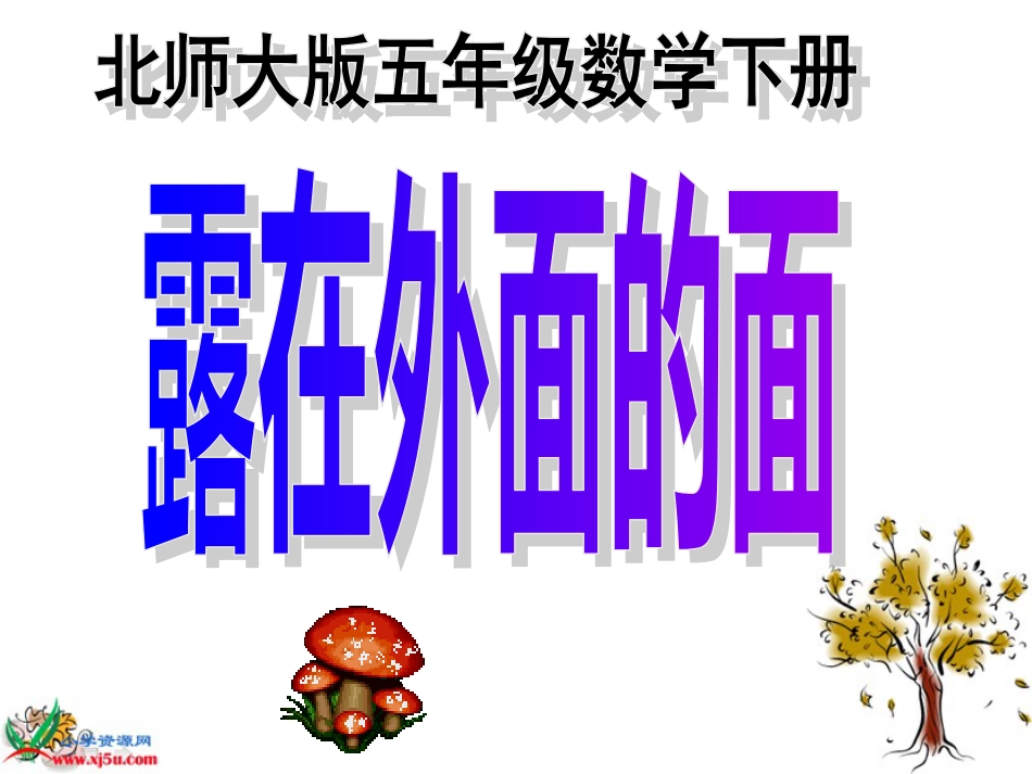 北师大版数学五年级下册《露在外面的面》PPT课件_第1页