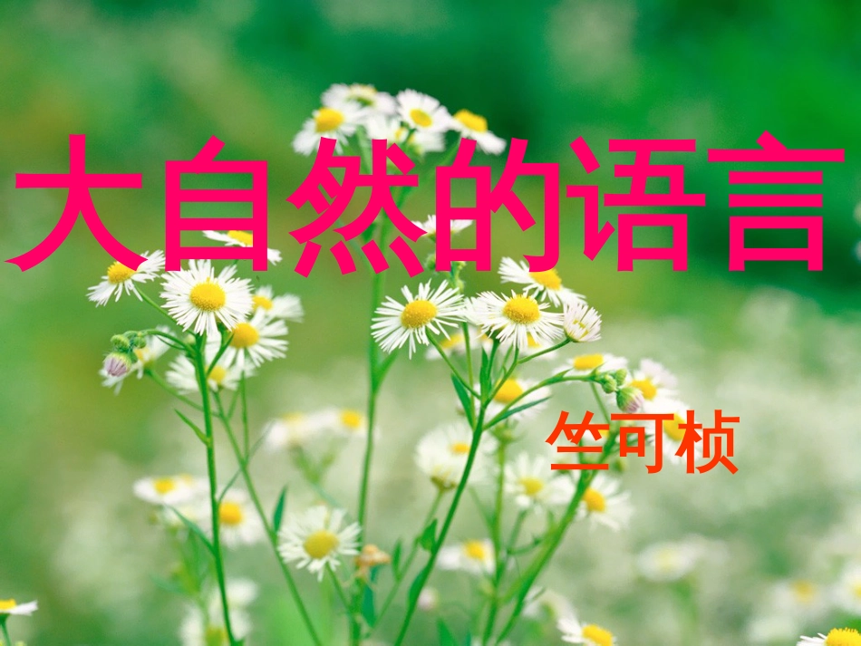 初中《大自然的语言》ppt课件_第1页