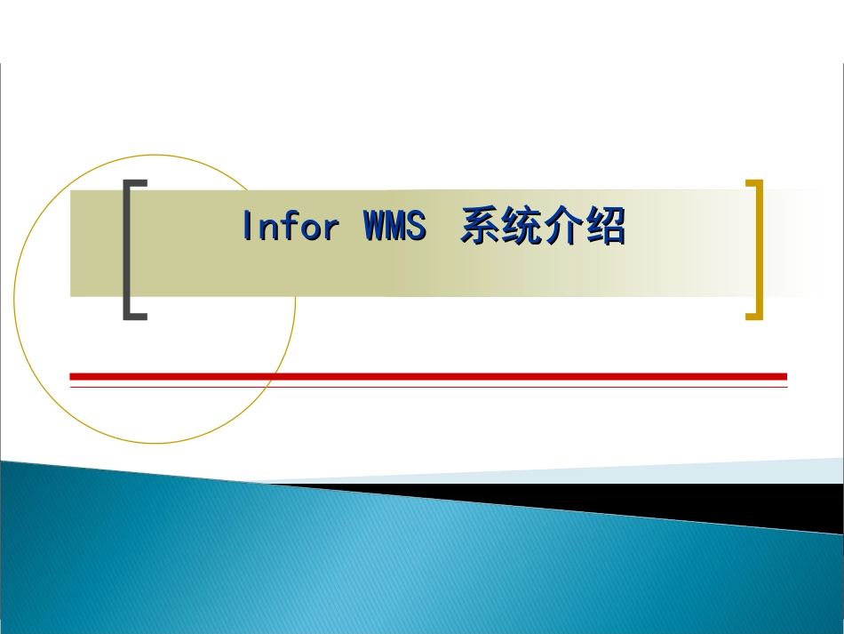 产品介绍InforWMS系统_第1页