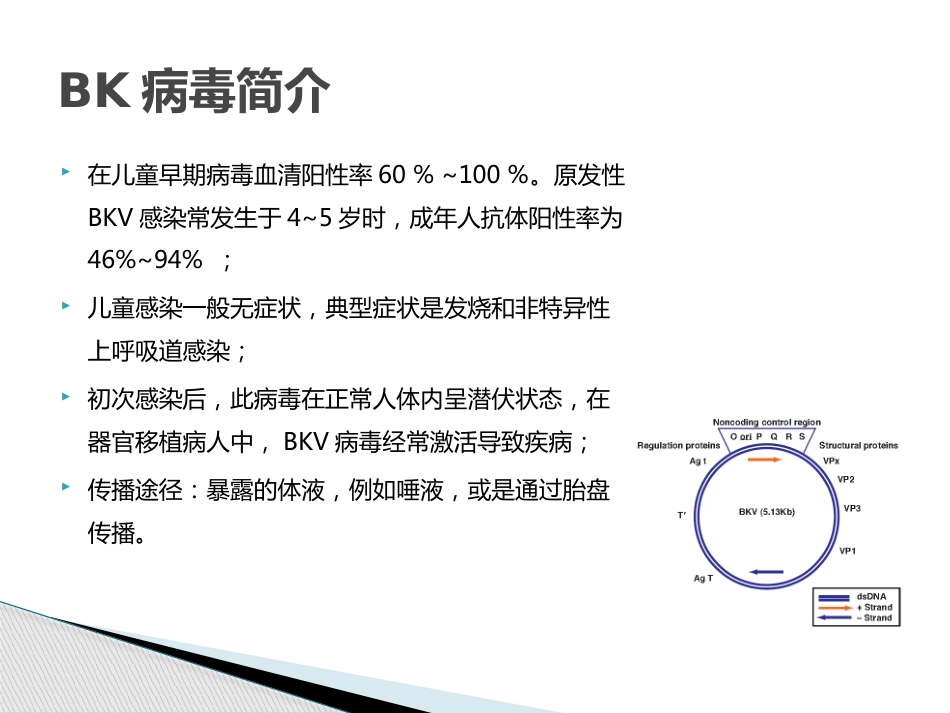 BKV病毒的检测2017_第3页