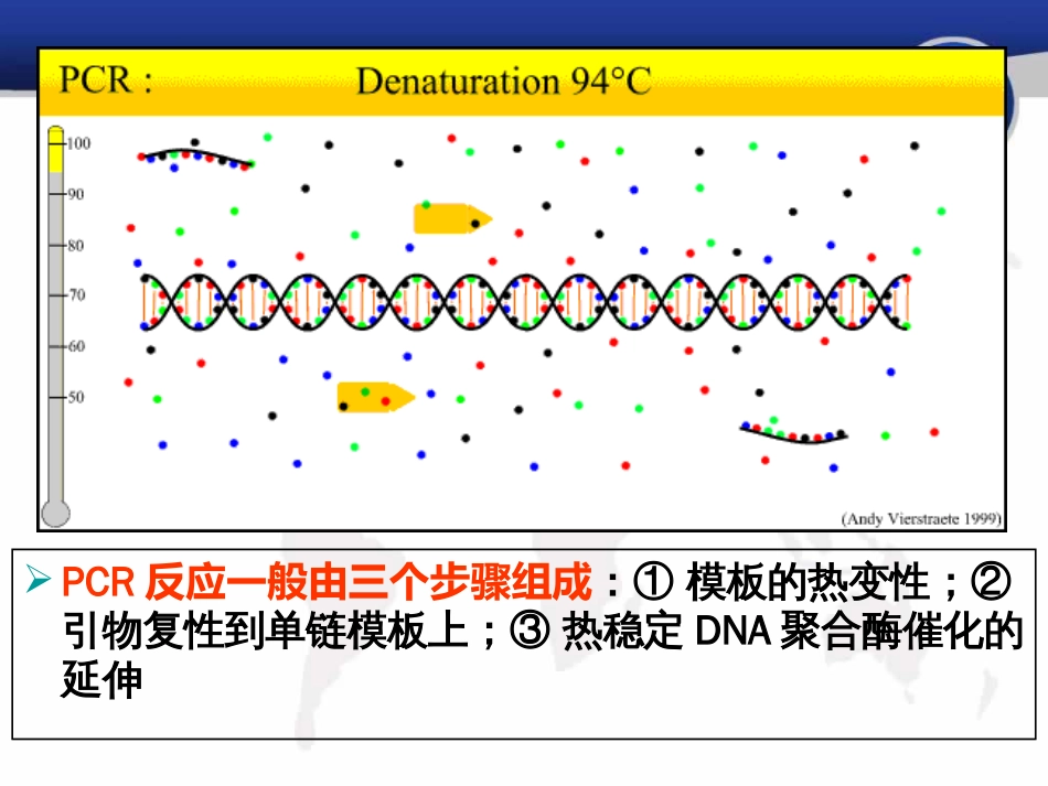 PCR引物设计原理_第2页