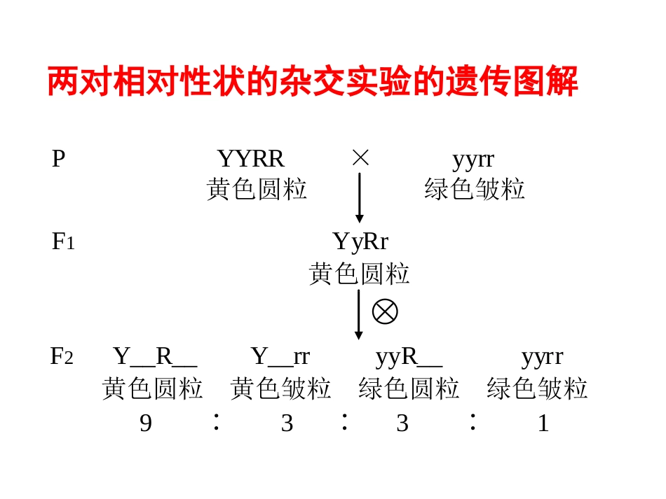 05自由组合定律的应用_第2页