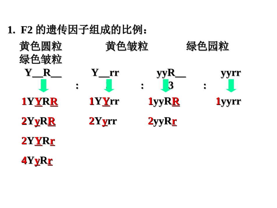 05自由组合定律的应用_第3页