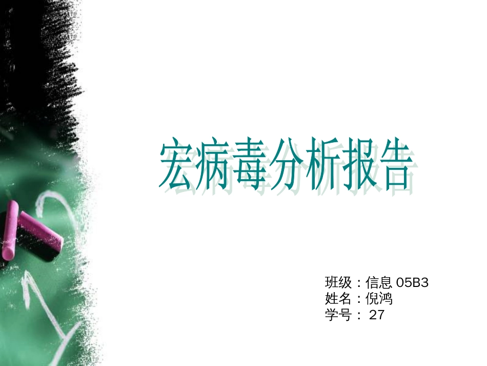 宏病毒分析报告_第1页
