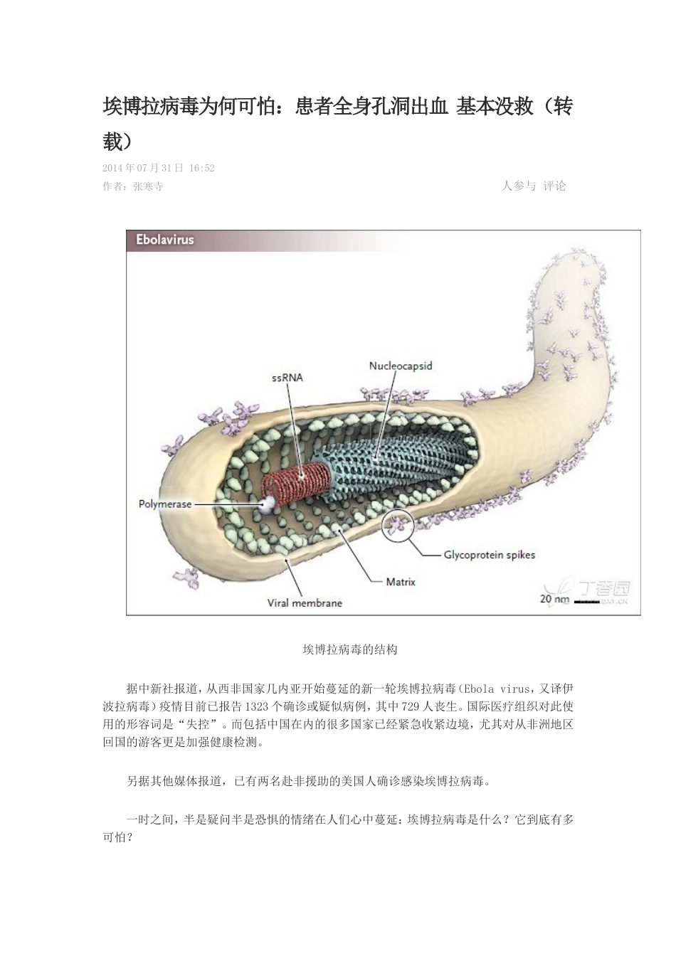 埃博拉病毒为何可怕_第1页