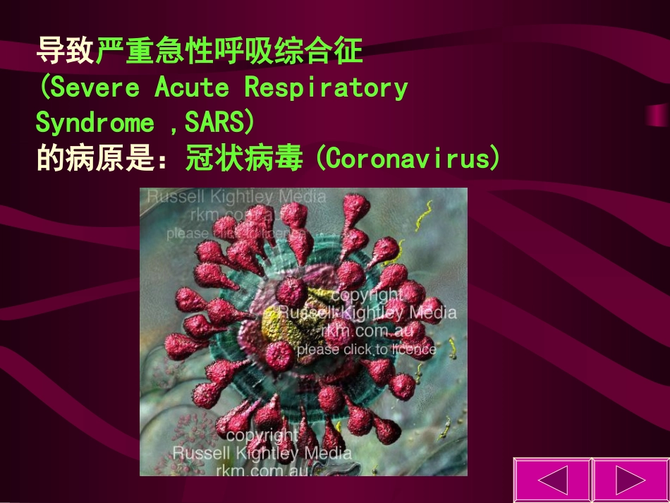 Sars病毒的认知介绍_第2页